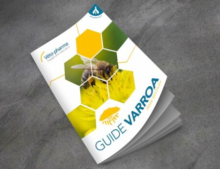 Varroa Guide – North America version