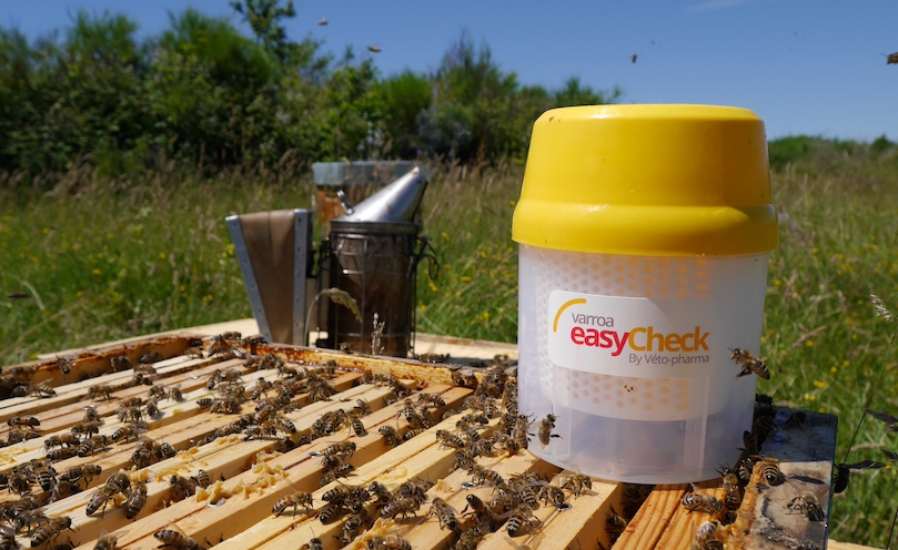 Produits pour l'apiculture et pour le suivi d'infestation Varroa