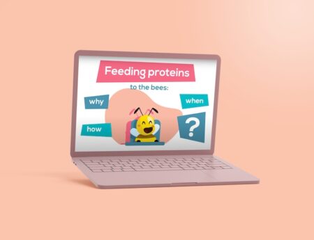 Feeding bees: what role does protein play?