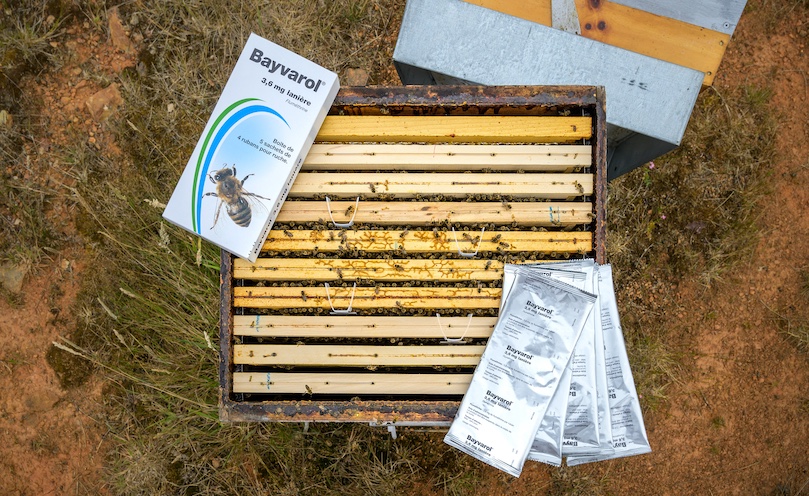 Bayvarol : un traitement de rotation contre varroa