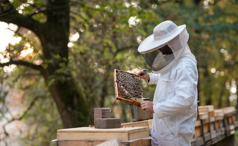 Véto-pharma : plus de 25 ans d’engagements pour l’apiculture 