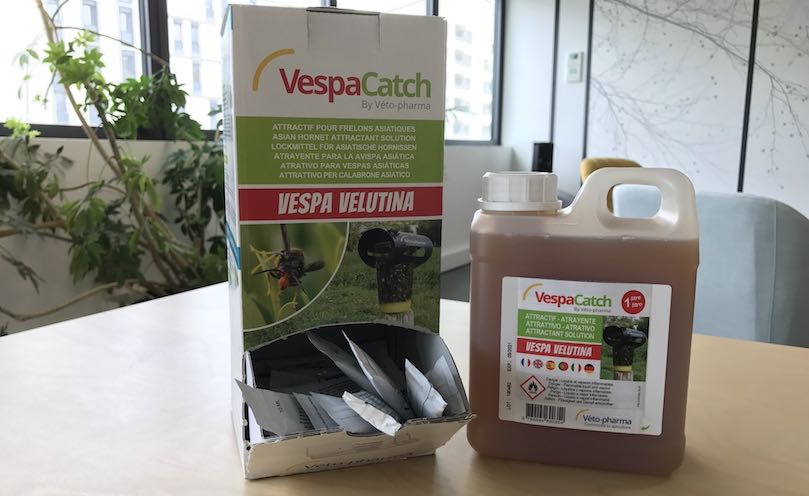 Attractif VespaCatch pour les frelons asiatiques