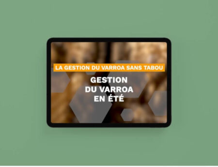 Vet Orucher video n3