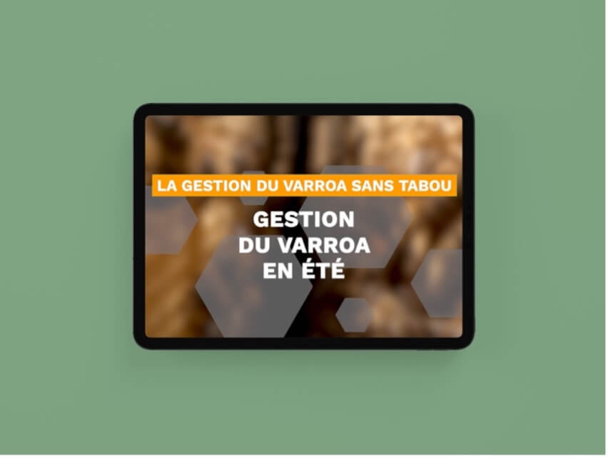 Vet Orucher video n3
