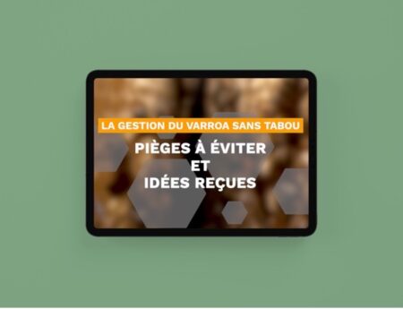 Sans titre