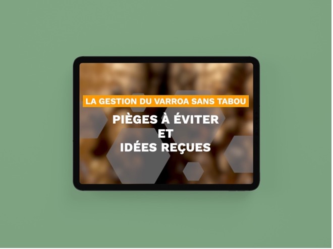 Sans titre