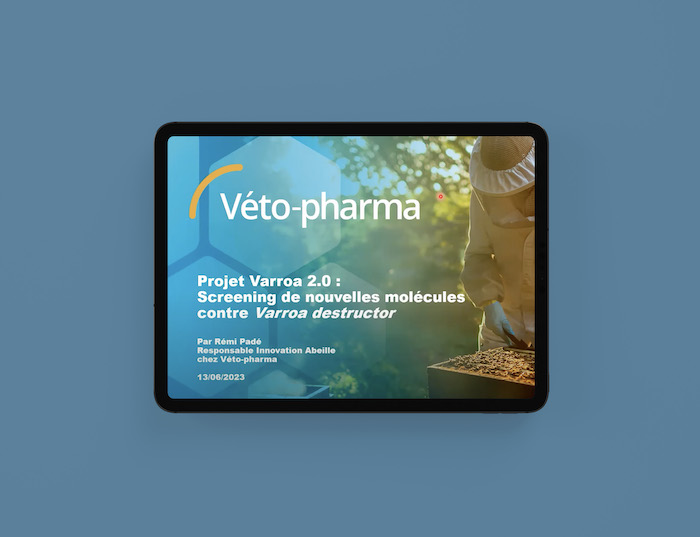 Vidéo live webinar