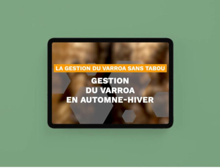 Sans titre