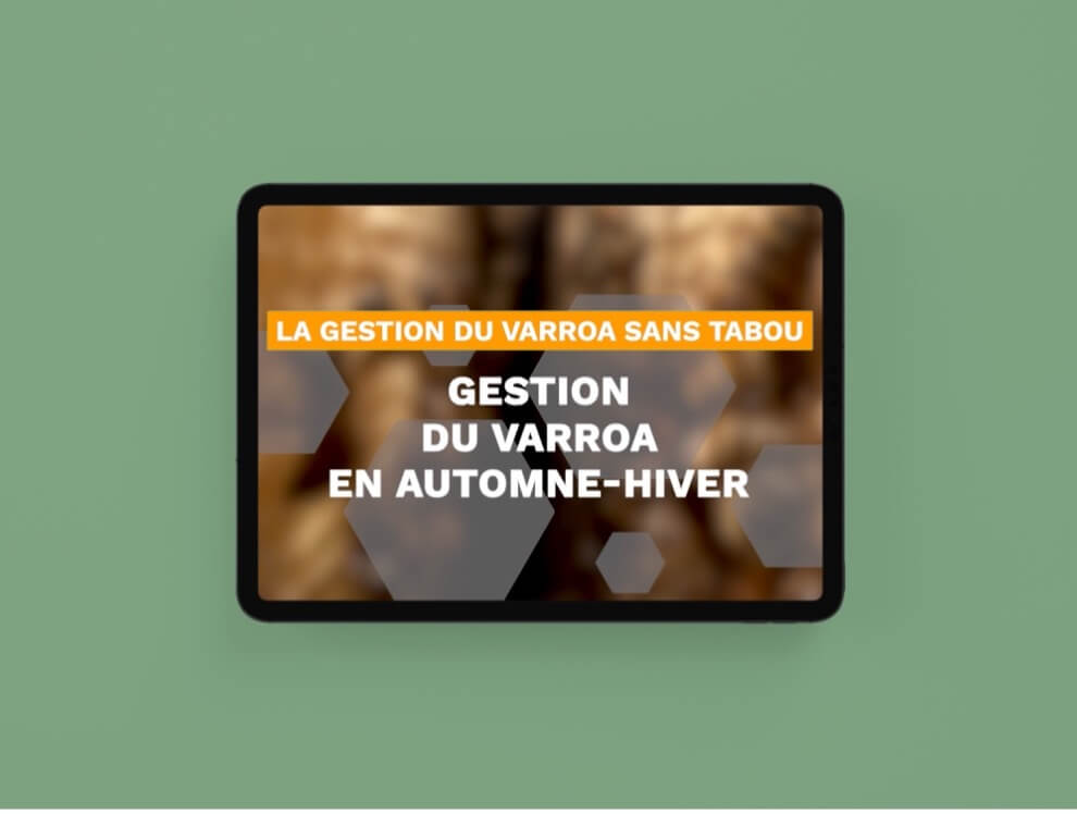 Sans titre