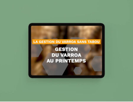 Sans titre (1)