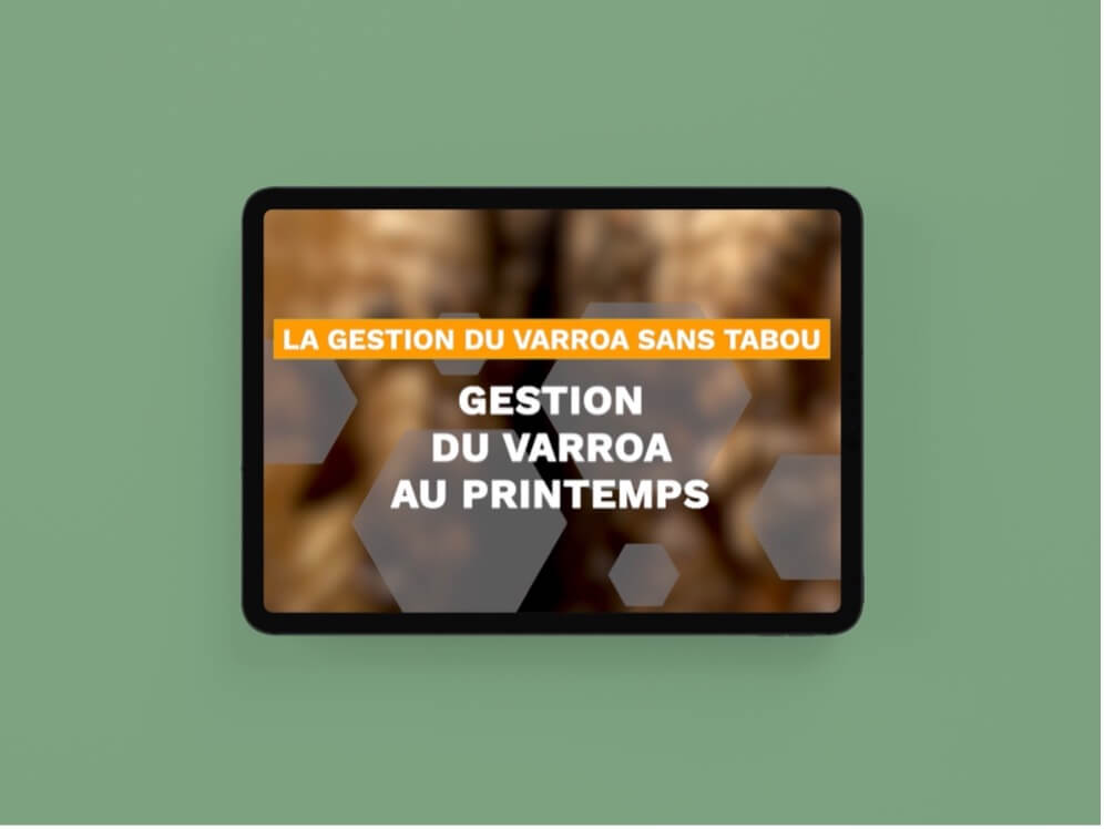 Sans titre (1)