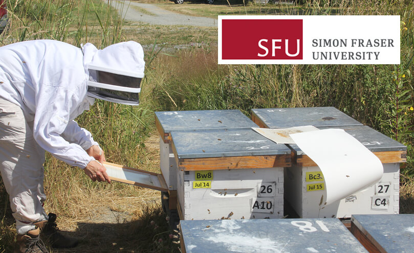 Collaboration with Simon Fraser University to combat Varroa mite.