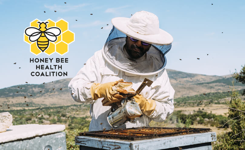 Partner of the Honey Bee Health Coalition in the United States
