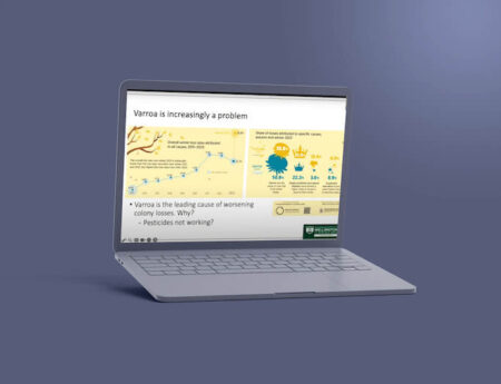Varroa destructor management: Challenges & strategies