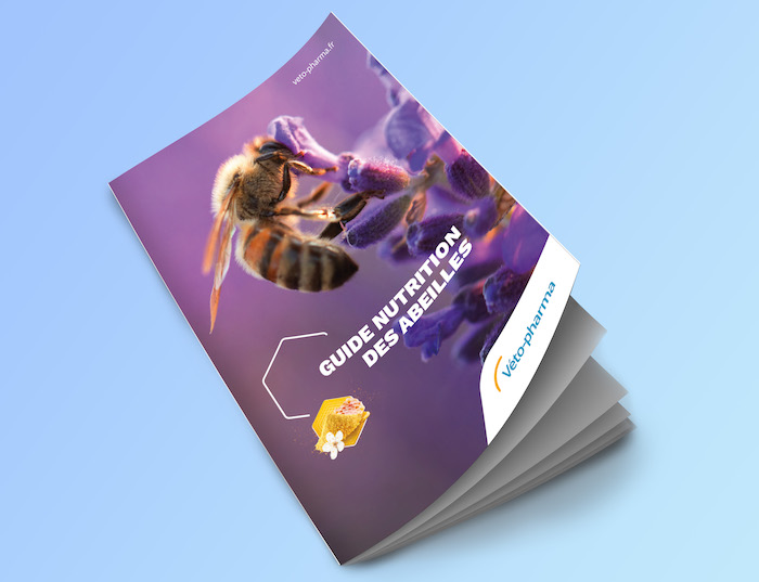 Guide Véto-pharma sur la Nutrition des Abeilles