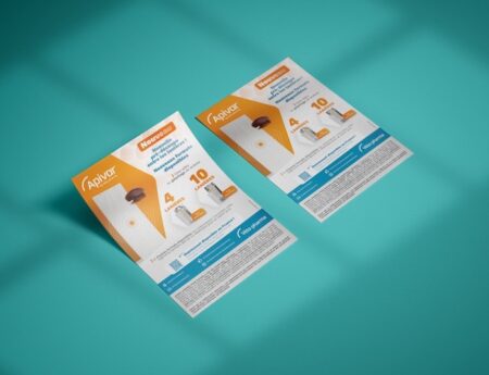 Apivar flyer