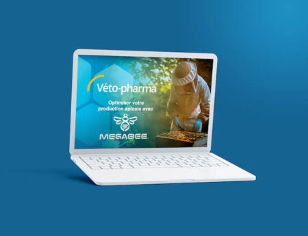MegaBee FR webinaire (1)