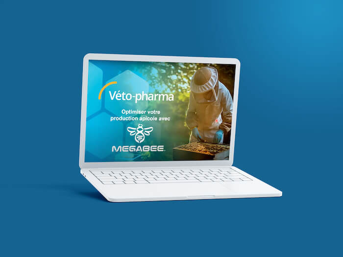 MegaBee FR webinaire (1)