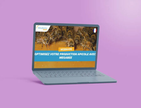 Webinaire MegaBee2-2