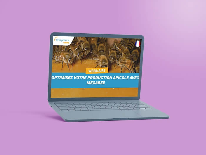 Webinaire MegaBee2-2