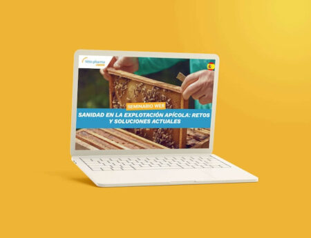 Seminario web – Sanidad en la explotación apícola: retos y soluciones actuales