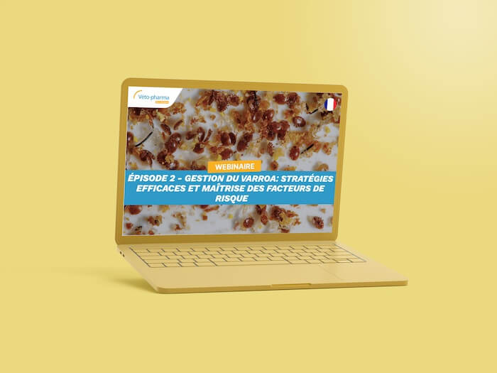 Webinaire FR 2