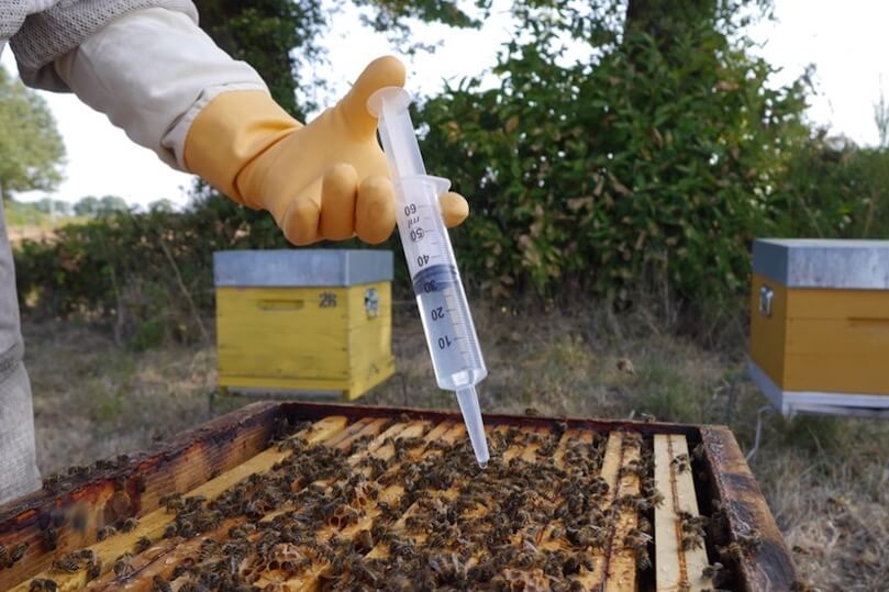 Api-Bioxal Poudre : une utilisation adaptée à vos besoins
