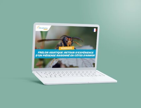 Webinaire Frelon Armor FR