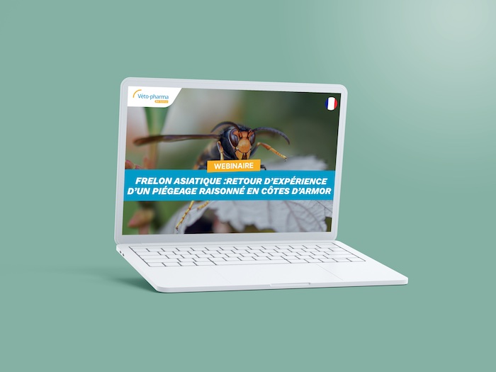 Webinaire-Frelon-Armor-FR