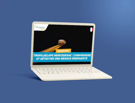 webinar tropilaelaps