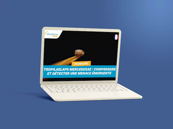 webinar tropilaelaps